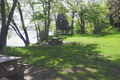 A serene park scene with green grass, trees, and a picnic table near a calm lake under bright sunlight.