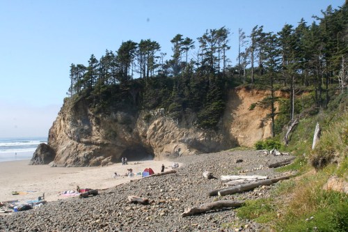 A sandy beach with driftwood, surrounded by trees and cliffs, with people enjoying the sunny day by the ocean.