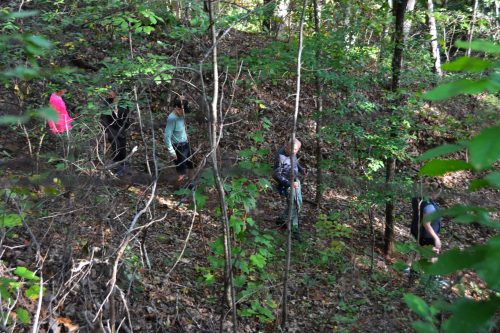A group of people hiking through a wooded area with trees and foliage surrounding them.