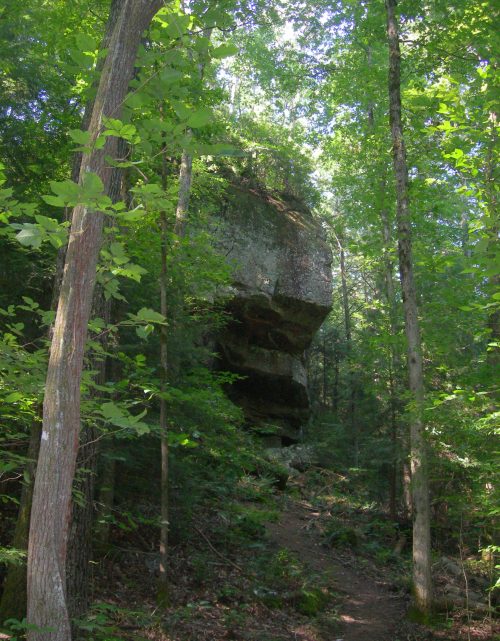 A rocky outcrop surrounded by lush green trees in a forested area, with a narrow path leading through the foliage.