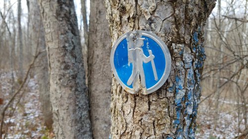 A blue hiking trail marker attached to a tree in a wooded area, with bare branches and a dusting of snow on the ground.