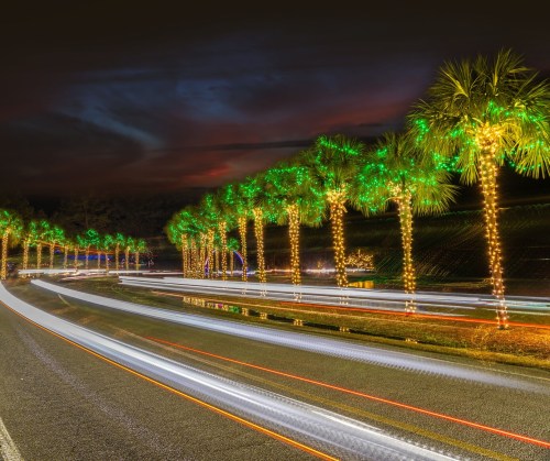 A road lined with palm trees adorned with green lights, illuminated against a dark sky at night.