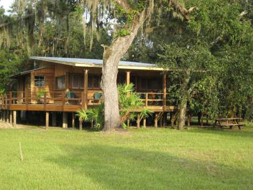 A wooden cabin on stilts surrounded by trees and grass, featuring a porch and picnic table nearby.
