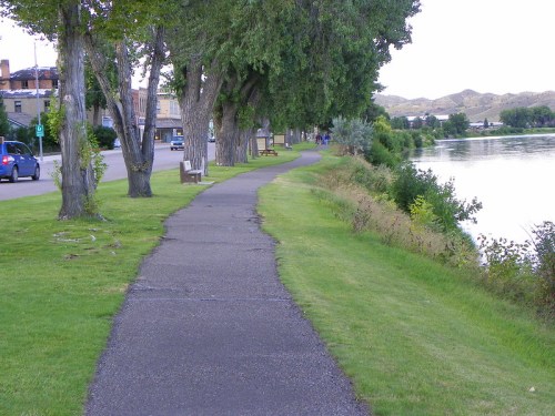A paved walkway lined with trees beside a river, with benches and a road in the background.