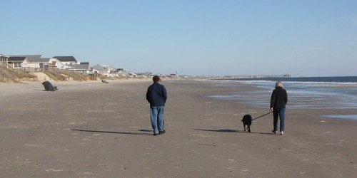 A man and a woman walk a dog along a sandy beach, with houses and a pier in the background under a clear sky.