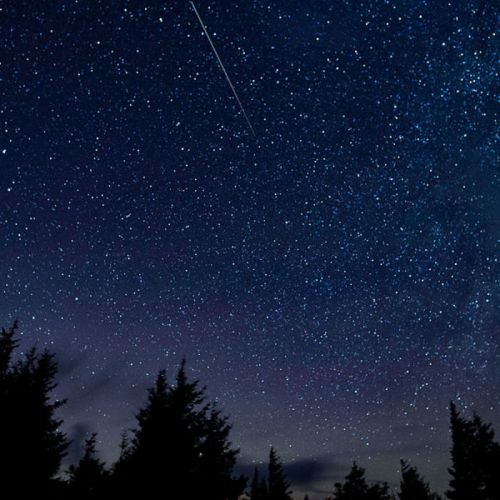 A starry night sky filled with twinkling stars and a shooting star, framed by dark silhouettes of trees.