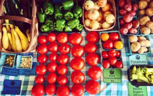 A colorful display of fresh vegetables and fruits, including tomatoes, peppers, garlic, and bananas, on a checkered tablecloth.