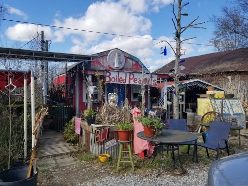 A quirky roadside stand with a sign for "Boiled Peanuts," surrounded by plants and rustic decor under a blue sky.