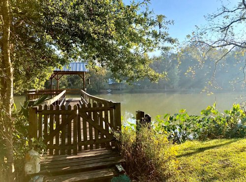 A serene river scene with a wooden dock, surrounded by trees and lush greenery under a clear blue sky.