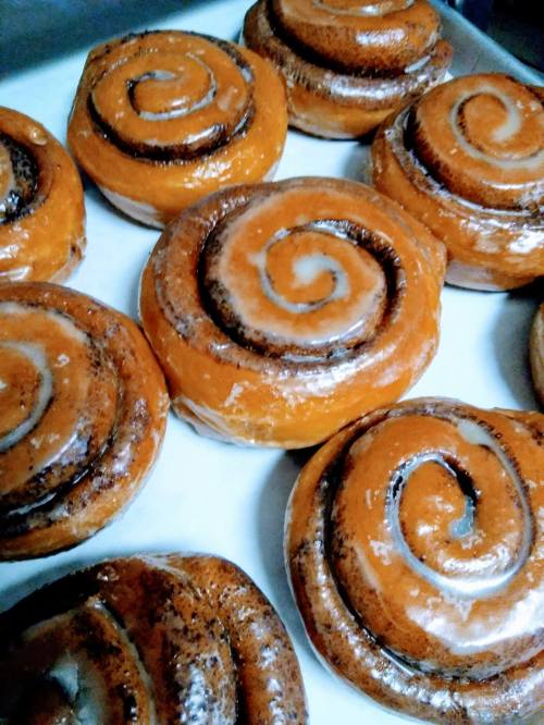 Freshly baked cinnamon rolls with a glossy glaze, arranged neatly on a white tray.