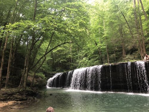 A serene waterfall cascades into a clear pool, surrounded by lush green trees in a tranquil forest setting.