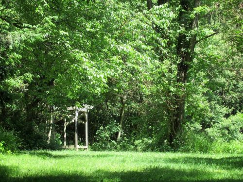 A serene green landscape with lush trees and a wooden gazebo in a sunlit clearing.