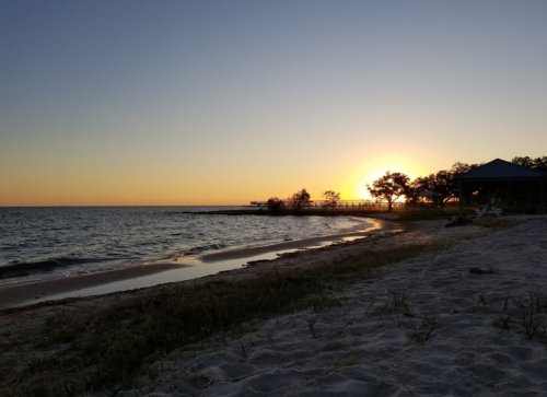 A serene beach at sunset, with gentle waves, sandy shore, and silhouetted trees against a colorful sky.