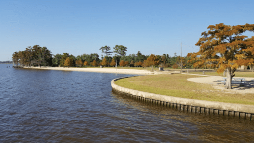 A serene lakeside view with trees displaying autumn colors and a curved shoreline under a clear blue sky.