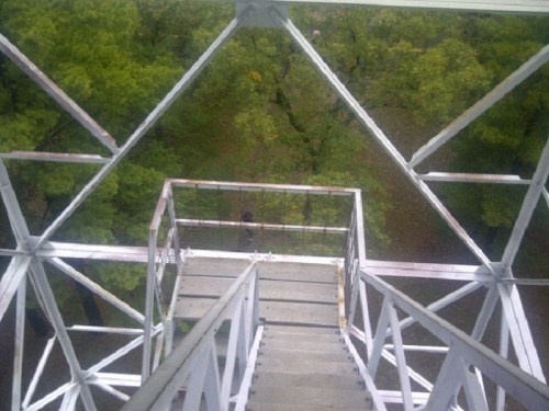 View from the top of a metal tower, looking down at a staircase and lush green trees below.