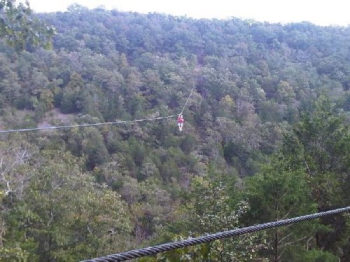 A person zip-lining over a lush, green forested landscape with trees in the background.