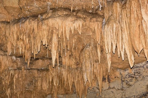Stalactites hanging from a cave ceiling, showcasing intricate formations and textures in earthy tones.