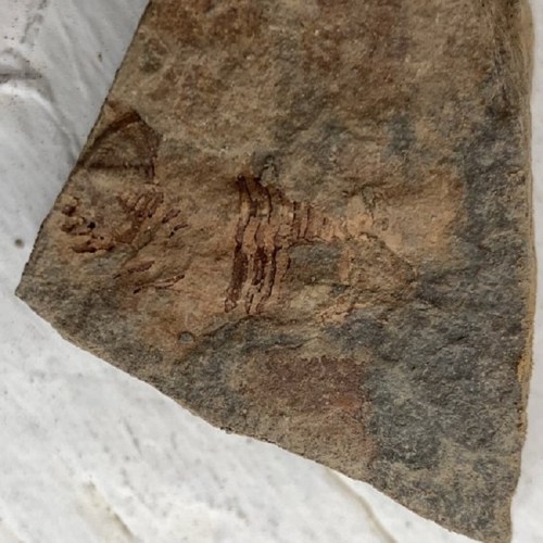 Close-up of a textured rock surface with faint, ancient markings or carvings.