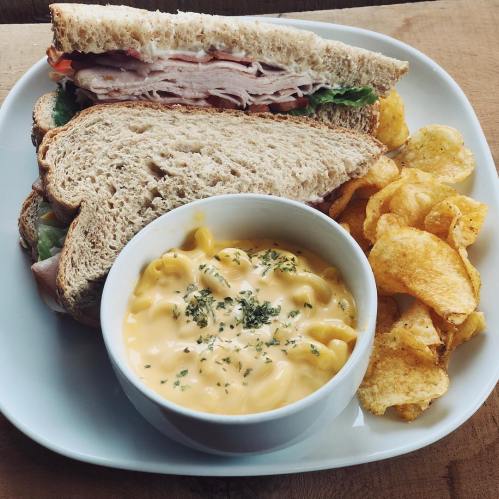 A plate with a turkey sandwich on whole grain bread, a bowl of macaroni and cheese, and a side of potato chips.