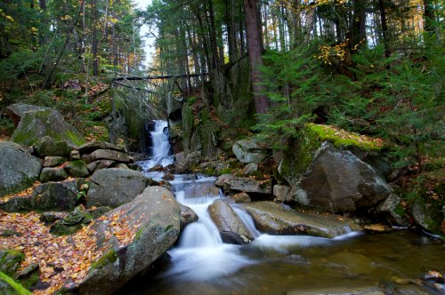 A serene forest scene featuring a cascading waterfall surrounded by rocks and autumn foliage.