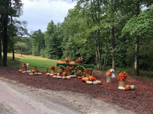 A rustic scene featuring a green wagon surrounded by colorful pumpkins and autumn flowers, set in a wooded area.