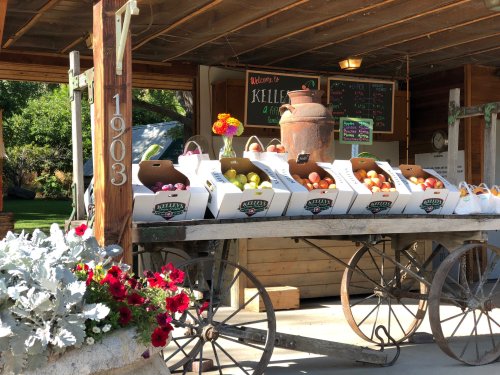 A rustic market stand displays colorful fruits in boxes, with flowers and a vintage milk can nearby.
