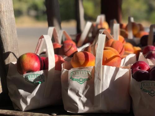 Baskets filled with fresh peaches and apples, displayed outdoors in natural light.