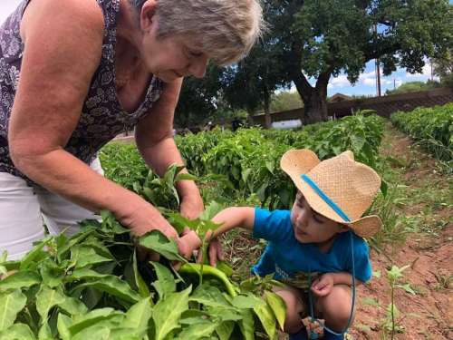 An older woman and a young child in a field, picking vegetables together, surrounded by green plants and trees.