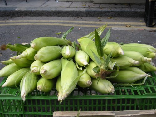 A pile of fresh, green corn on the cob stacked in a green crate on a street.
