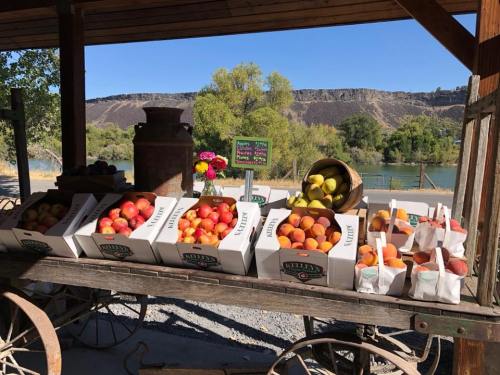 A rustic stand displays boxes of fresh peaches and apples, with a scenic backdrop of trees and a river.