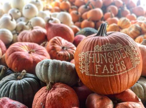 A variety of pumpkins in different colors and sizes, with a prominently displayed orange pumpkin labeled "Hunsader Farms."