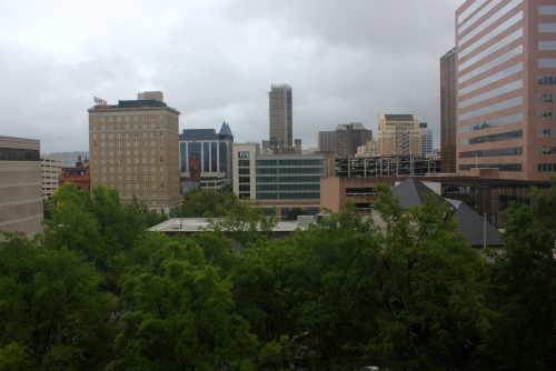 City skyline with modern buildings and greenery in the foreground, under a cloudy sky.