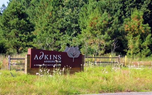 Sign for Adkins Arboretum surrounded by greenery and wildflowers, with a wooden fence in the background.
