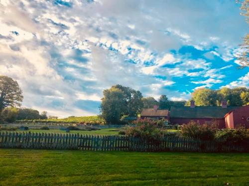 A scenic view of a vineyard with a rustic barn, surrounded by lush greenery and a blue sky with scattered clouds.
