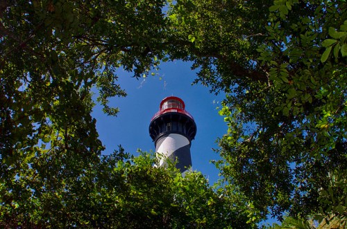 A lighthouse stands tall, framed by lush green foliage against a clear blue sky.