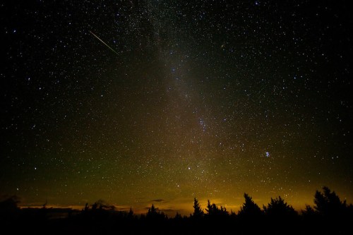 A starry night sky filled with stars, a faint Milky Way, and a shooting star above a dark forest silhouette.