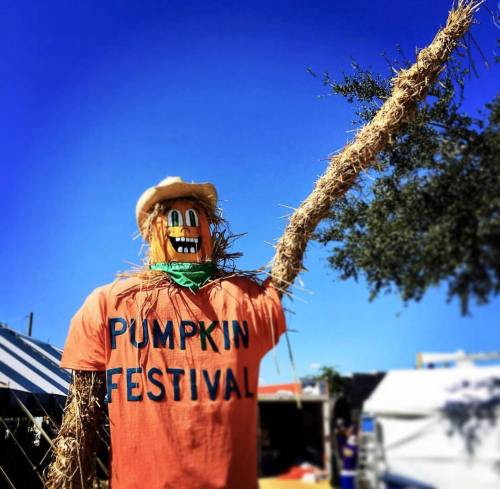A scarecrow wearing a cowboy hat and an orange shirt that says "PUMPKIN FESTIVAL" against a clear blue sky.