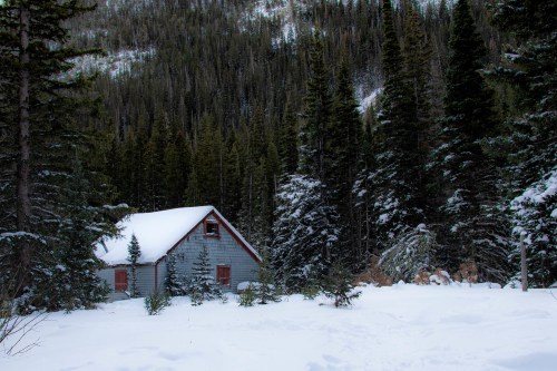 A small, rustic cabin surrounded by snow-covered trees in a winter forest.