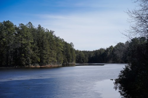 A serene lake surrounded by lush green trees under a clear blue sky.