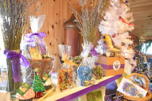 A cozy display of lavender products and holiday decorations, including gifts wrapped in clear bags and a white tree.