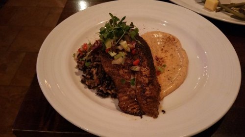 Grilled fish fillet topped with herbs, served with rice and a creamy sauce on a white plate.