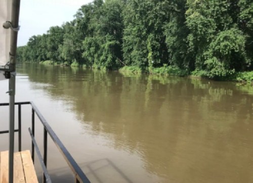 A calm river flows alongside lush green trees, viewed from a boat deck.