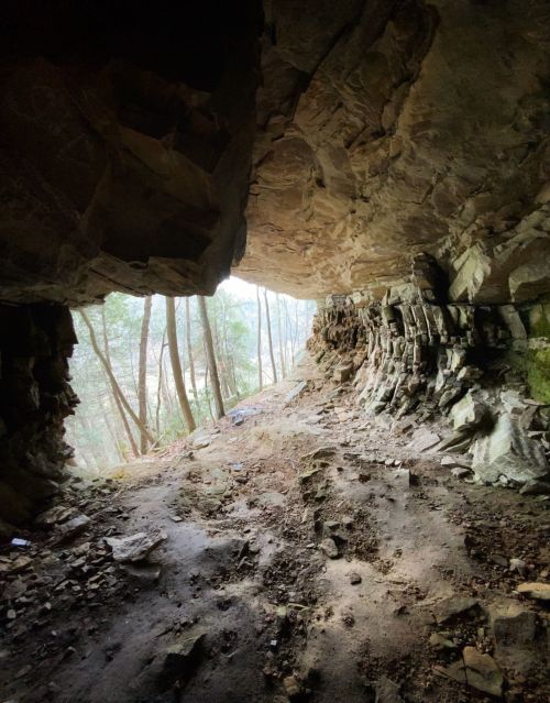 A rocky cave entrance with trees in the background, illuminated by soft natural light.