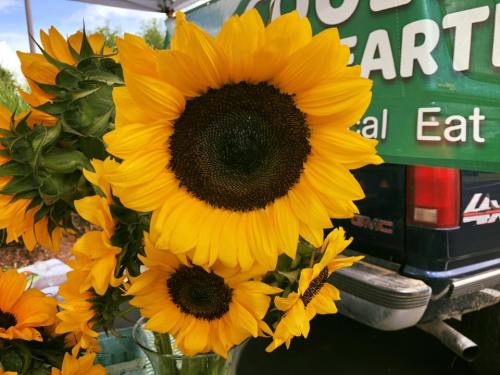 Bright sunflowers in a vase, with a green banner in the background promoting local eating.
