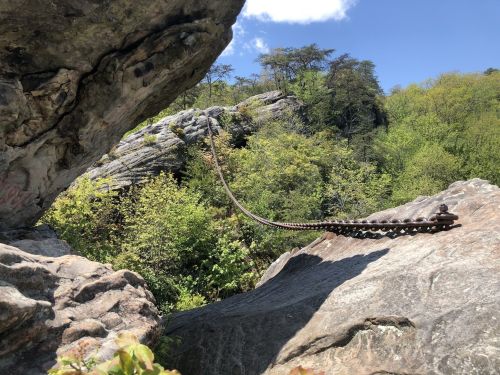 A narrow, winding bridge connects two rocky cliffs, surrounded by lush greenery and a clear blue sky.
