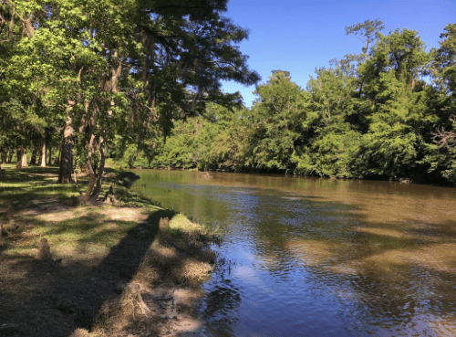 A serene river scene surrounded by lush green trees under a clear blue sky.