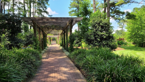 A serene garden path lined with greenery and wooden trellises under a bright blue sky.