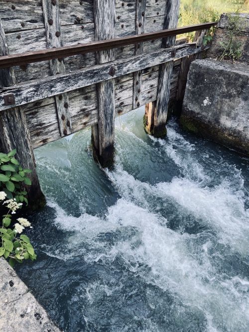 A wooden sluice gate partially open, with water flowing rapidly beneath it, surrounded by greenery.