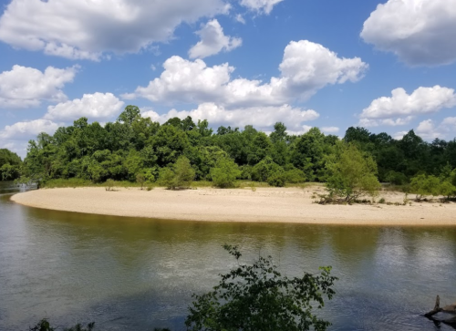 A sandy riverbank surrounded by lush green trees under a blue sky with fluffy white clouds.