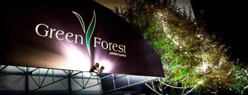 Sign for "Green Forest" illuminated at night, surrounded by trees and soft lighting.